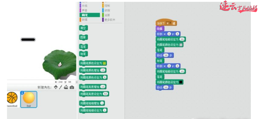 济南少儿编程：Scratch编程，让一年级孩子制作小蝌蚪找妈妈！~山东少儿编程~少儿编程(图7)